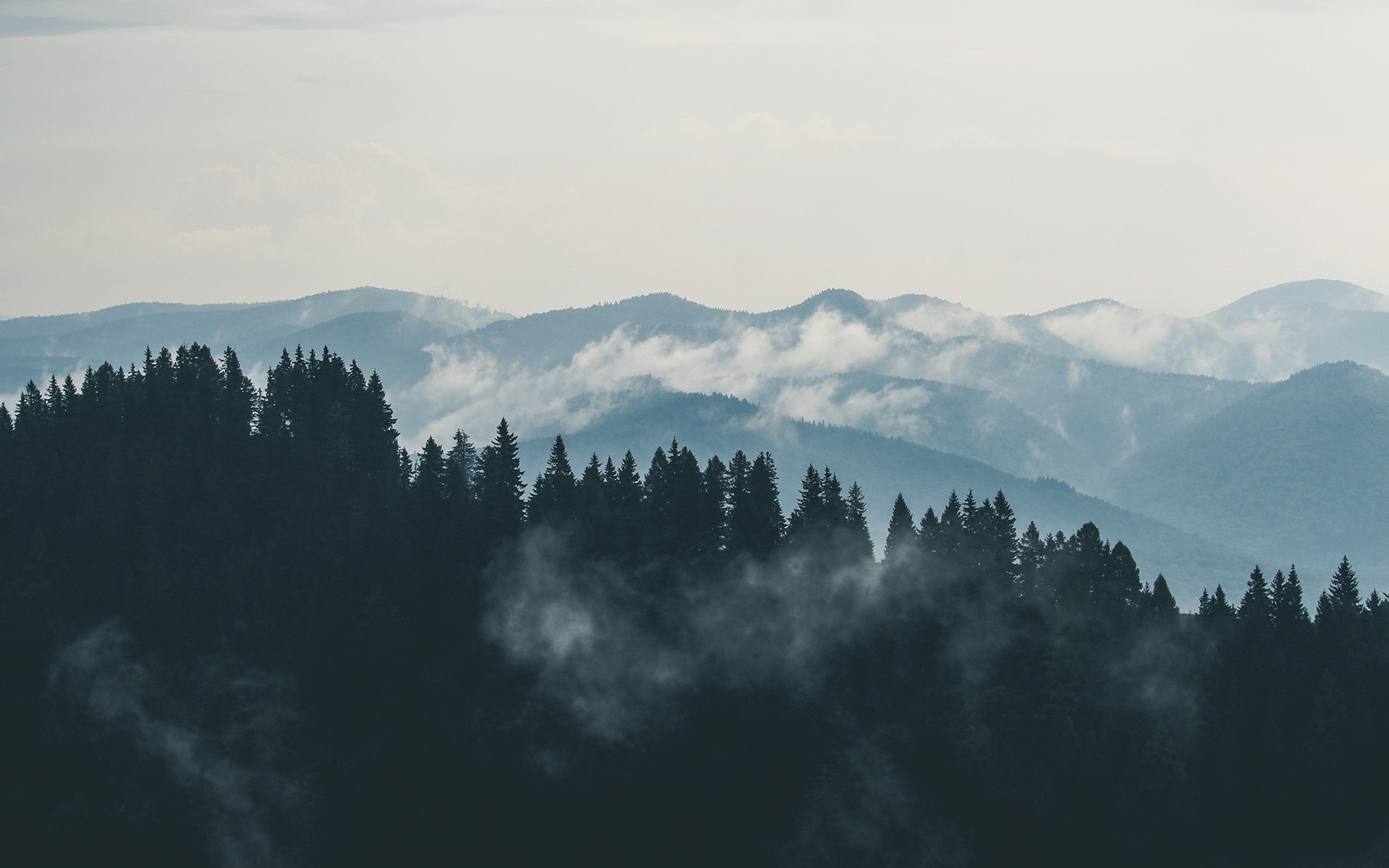 Mountain ranges fading into mist — Earth's quiet majesty