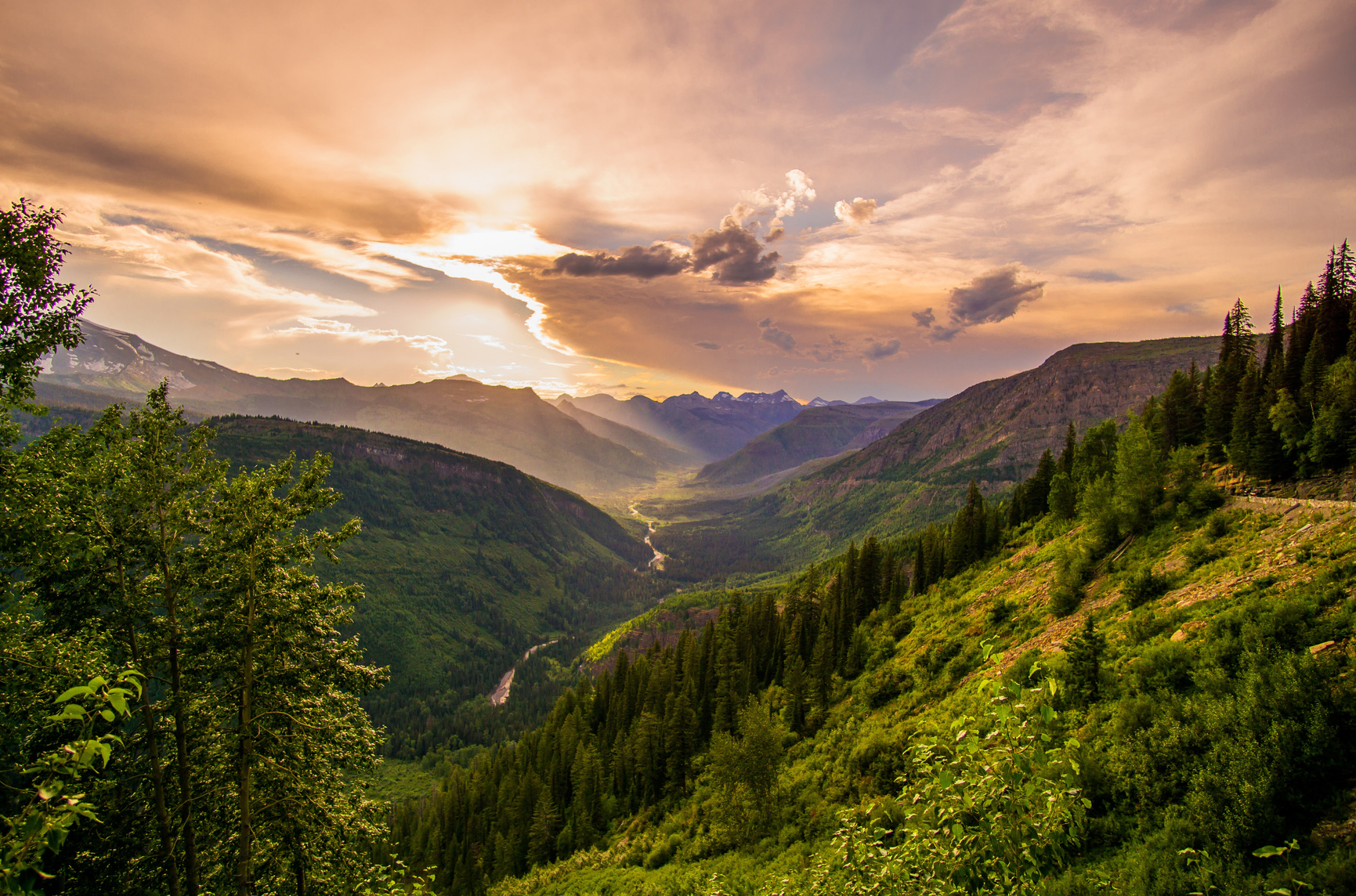 Lush valley at golden hour — representing ecological preservation